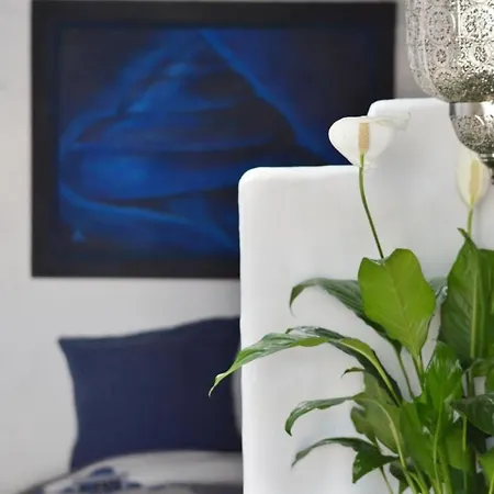 Casita Aloe In By Interhome Apartment *